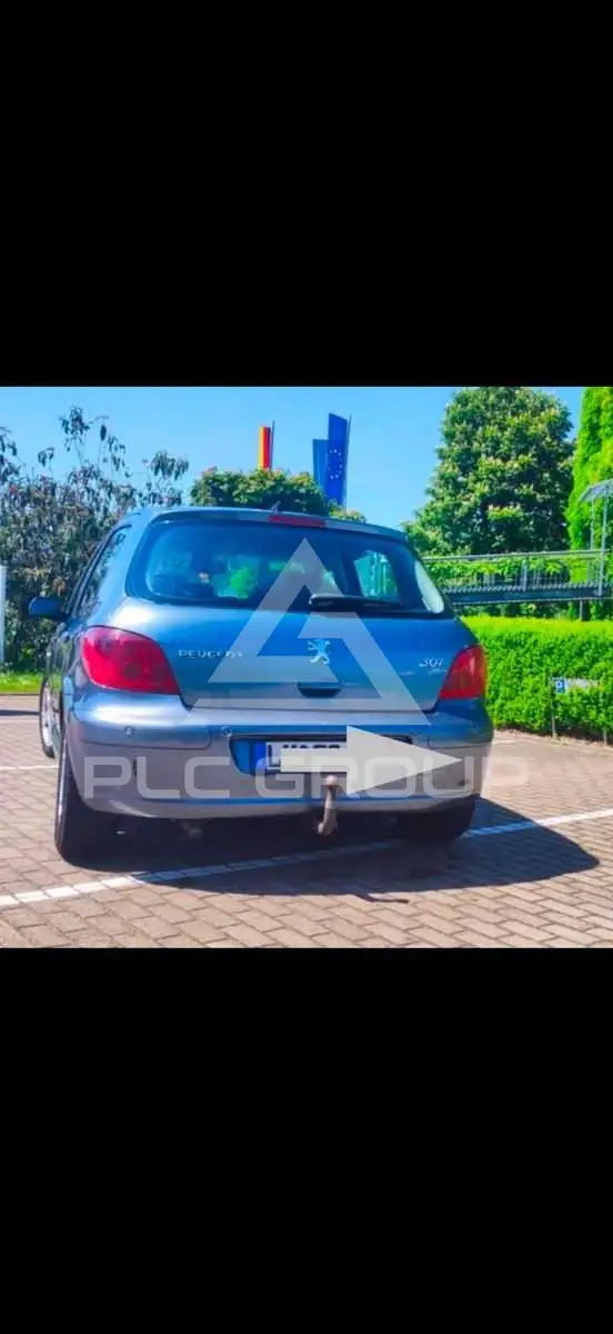 2004 Peugeot 307