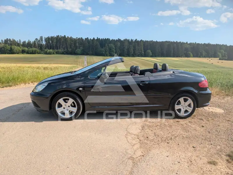 2004 Peugeot 307
