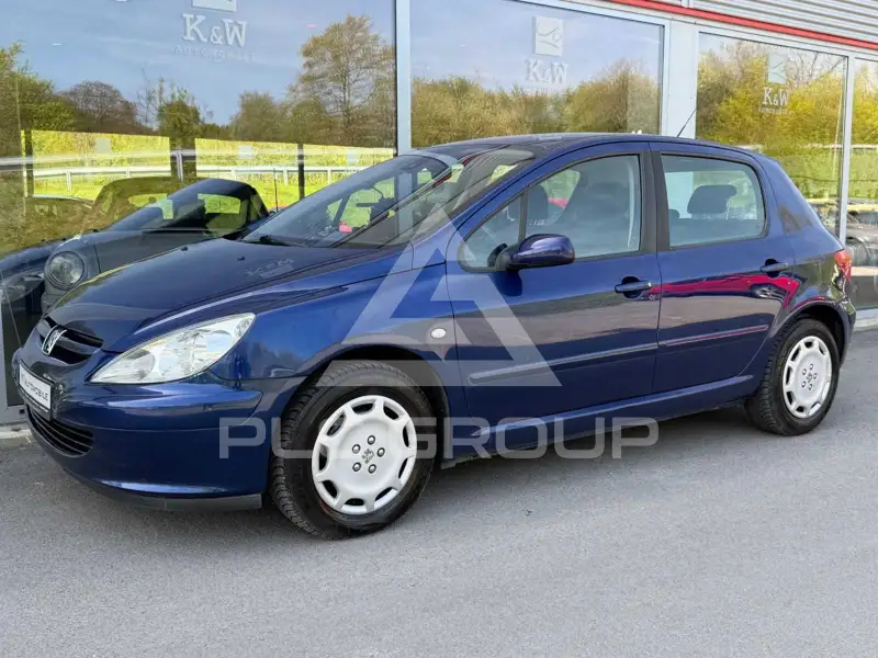 2004 Peugeot 307