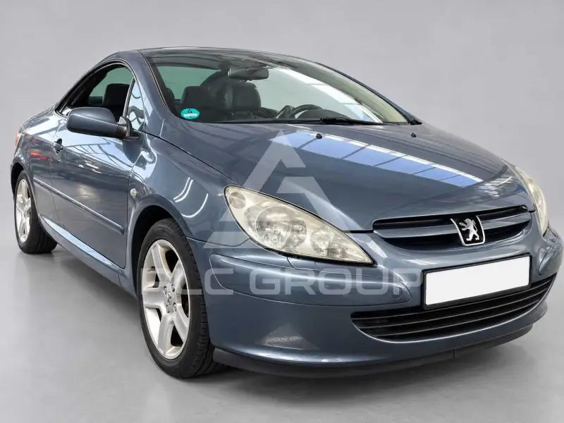 2004 Peugeot 307