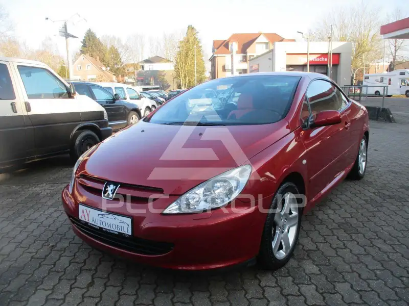 2004 Peugeot 307