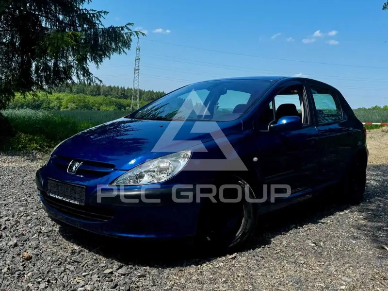 2004 Peugeot 307