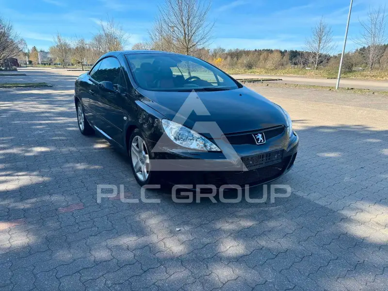 2004 Peugeot 307