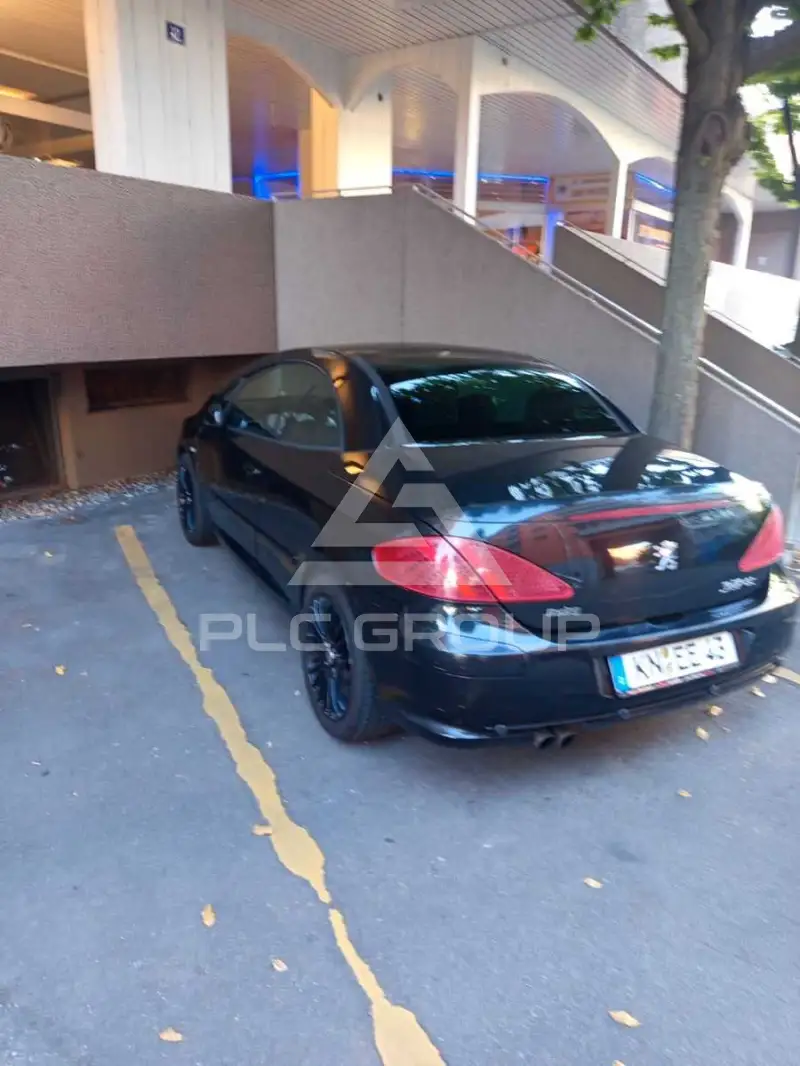 2004 Peugeot 307