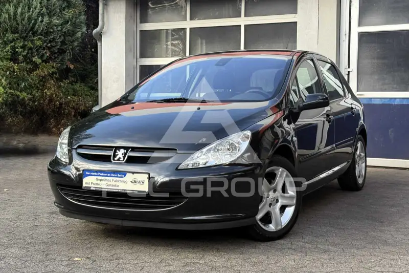 2004 Peugeot 307