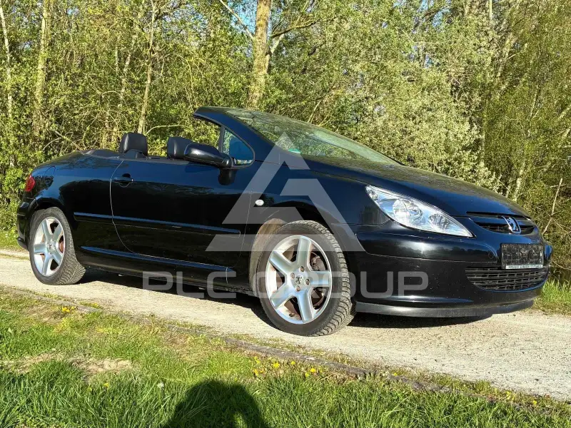 2004 Peugeot 307