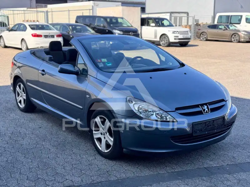 2004 Peugeot 307