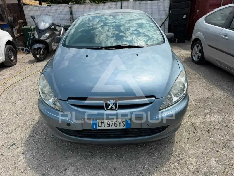 2004 Peugeot 307