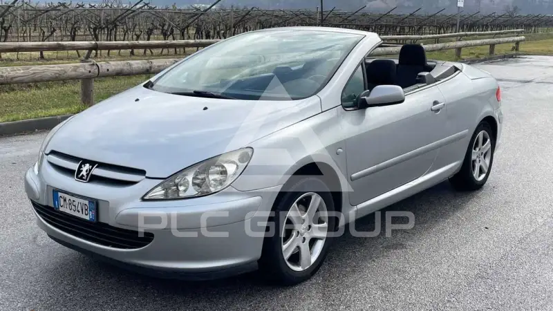 2004 Peugeot 307