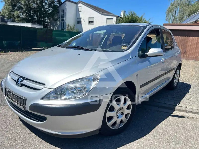 2004 Peugeot 307