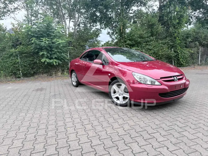 2004 Peugeot 307
