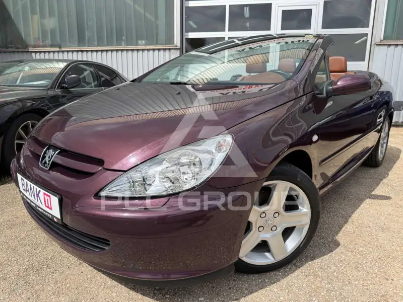 2004 Peugeot 307
