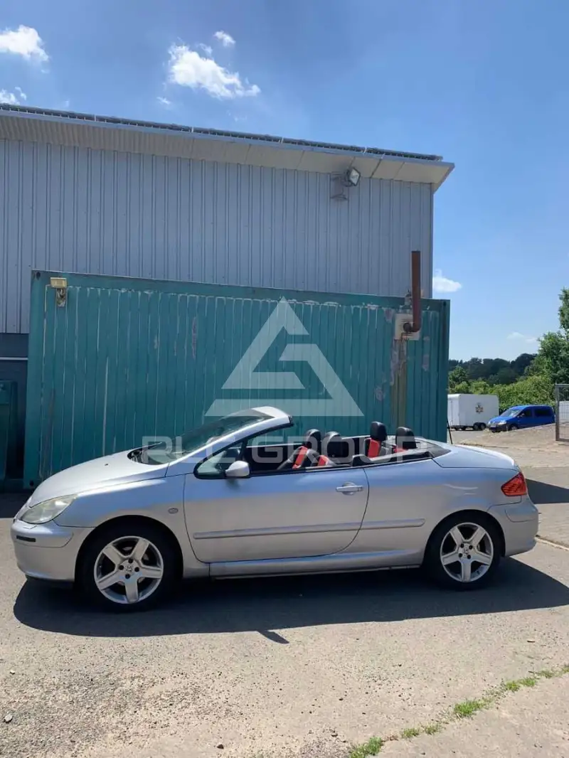 2004 Peugeot 307
