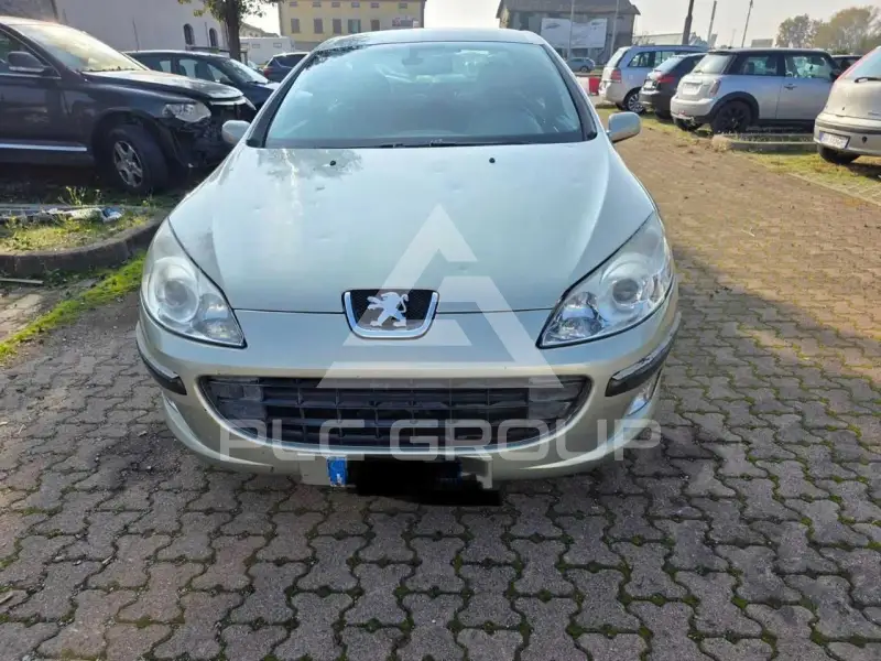 2004 Peugeot 407