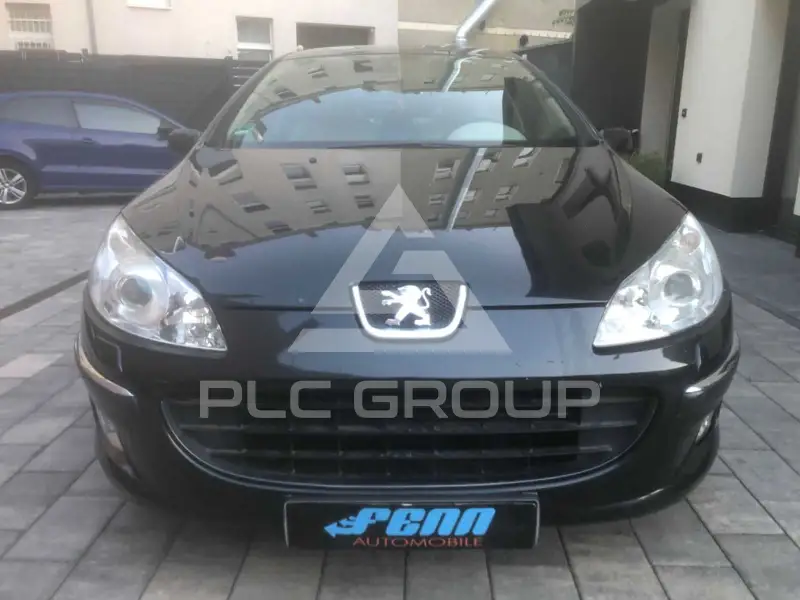 2004 Peugeot 407