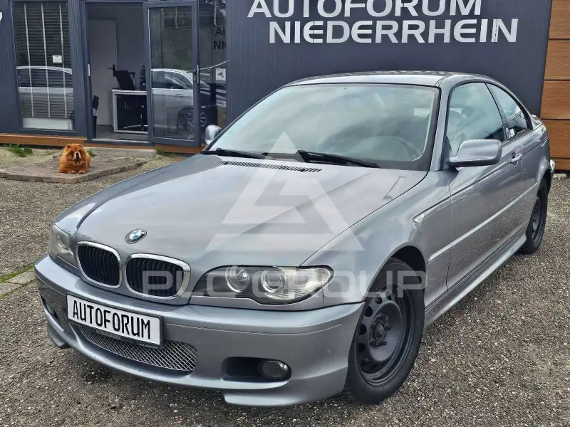 2005 BMW 318