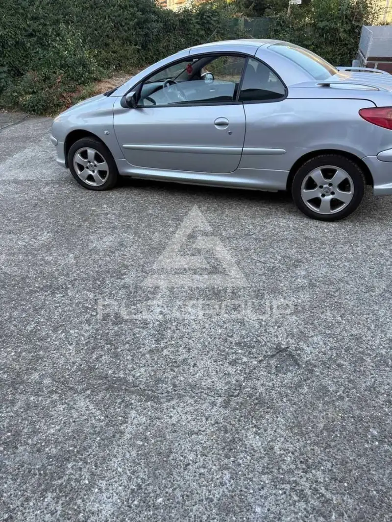 2005 Peugeot 206
