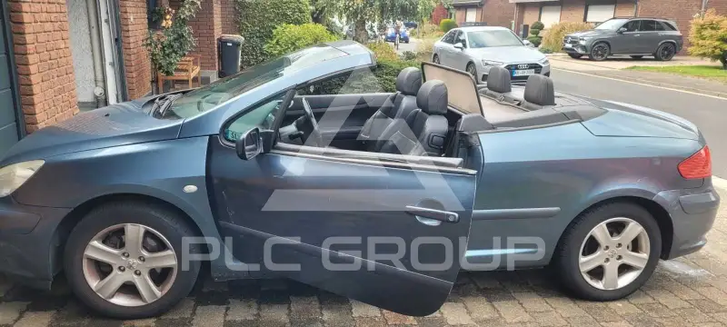 2005 Peugeot 307
