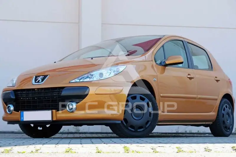 2005 Peugeot 307