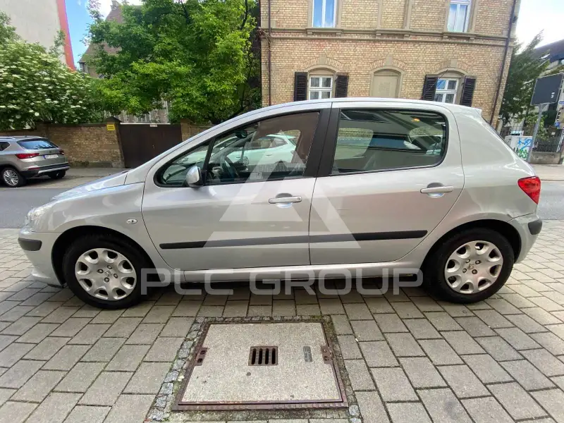 2005 Peugeot 307