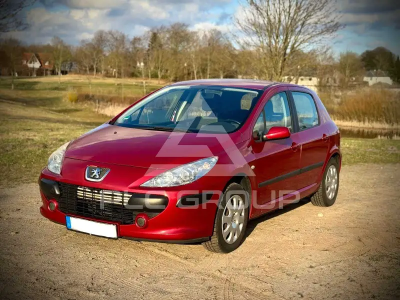 2005 Peugeot 307
