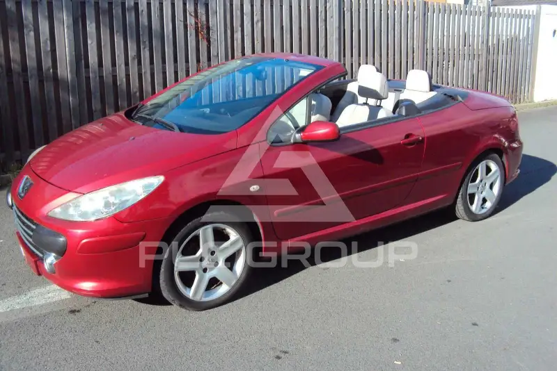 2005 Peugeot 307