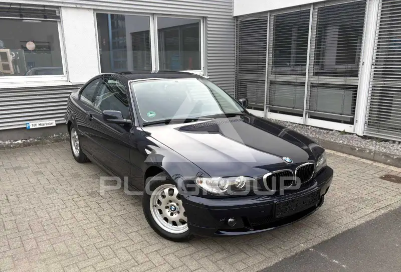2006 BMW 318