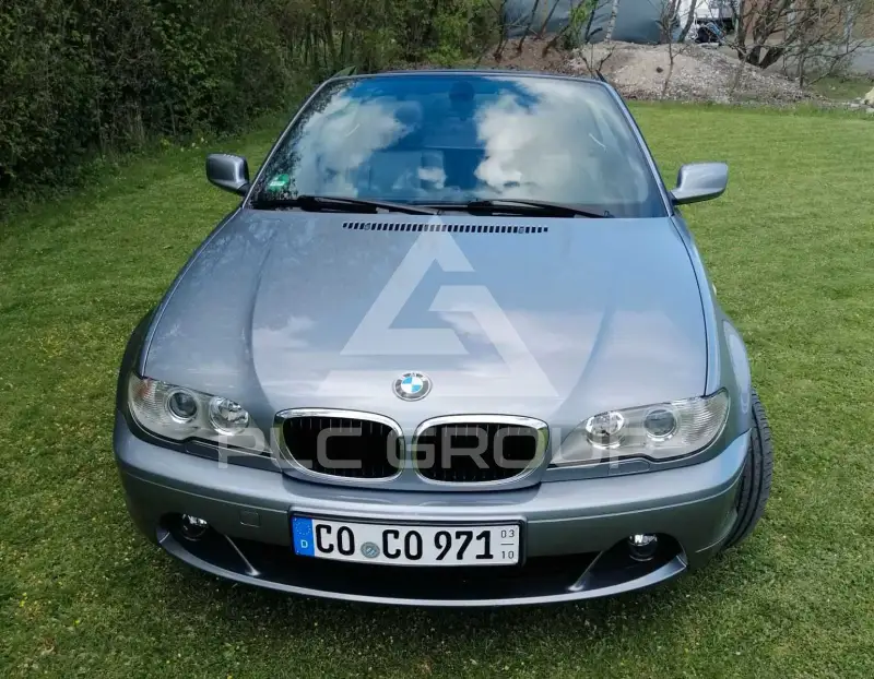 2006 BMW 318