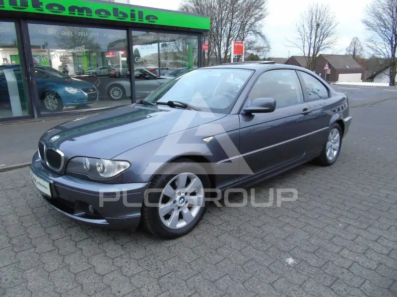 2006 BMW 318