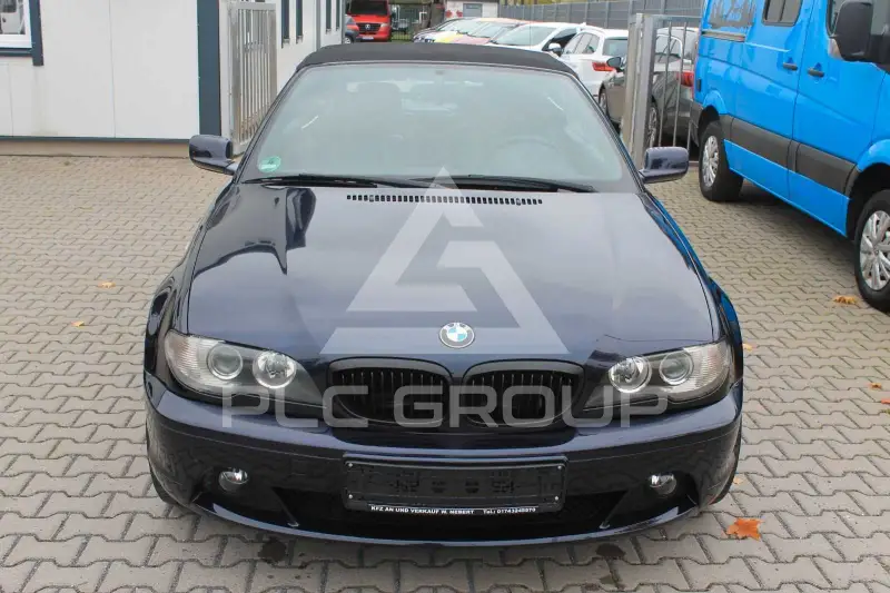 2006 BMW 318