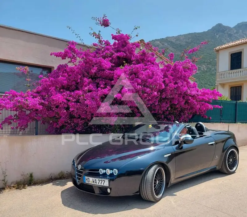 2006 Alfa Romeo Spider