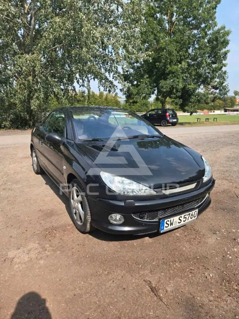 2006 Peugeot 206