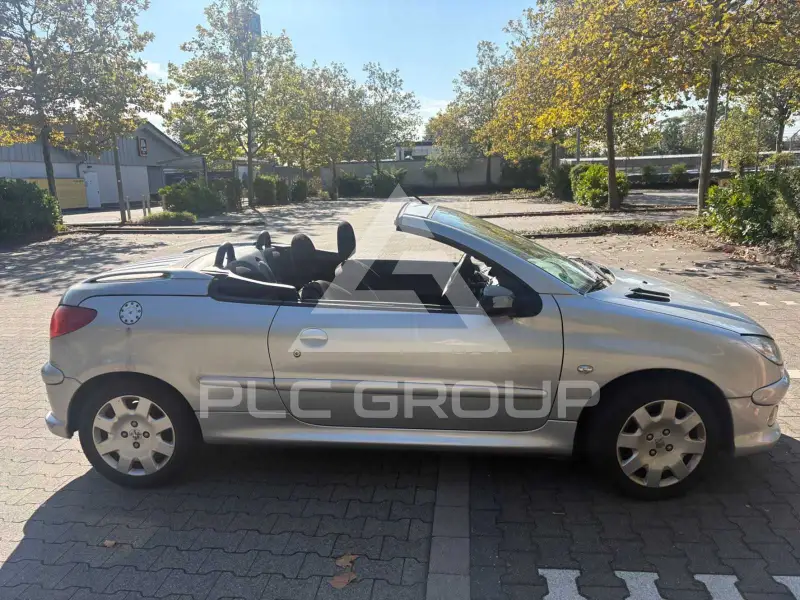 2006 Peugeot 206