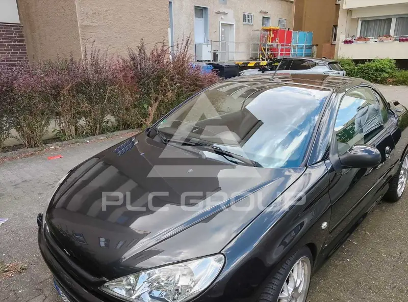 2006 Peugeot 206