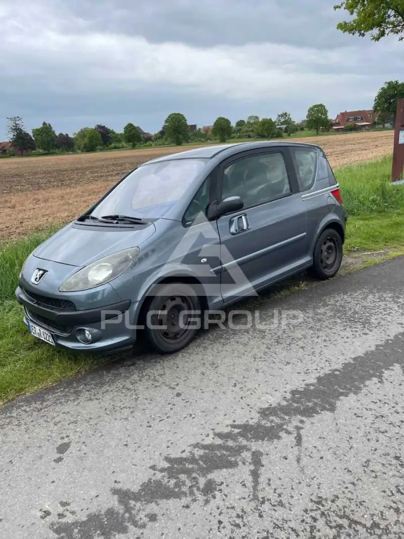 2006 Peugeot 1007