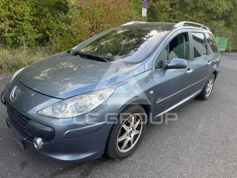 2006 Peugeot 307