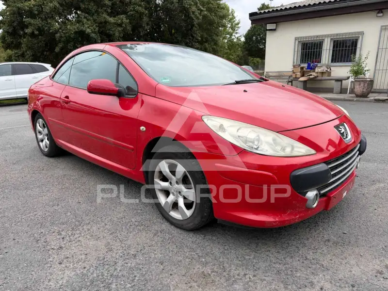2006 Peugeot 307