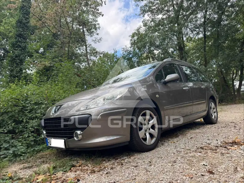 2006 Peugeot 307