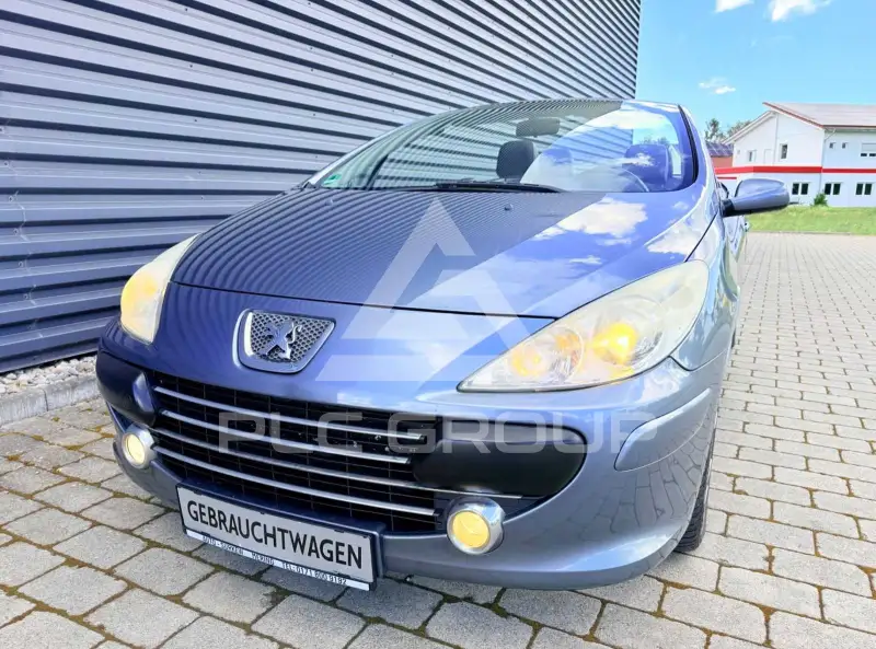 2006 Peugeot 307