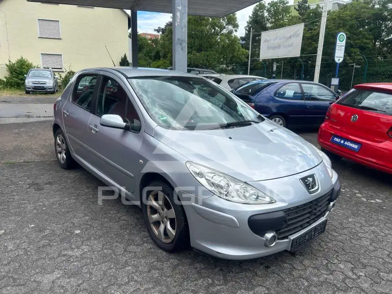 2006 Peugeot 307