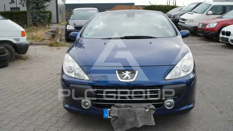 2006 Peugeot 307