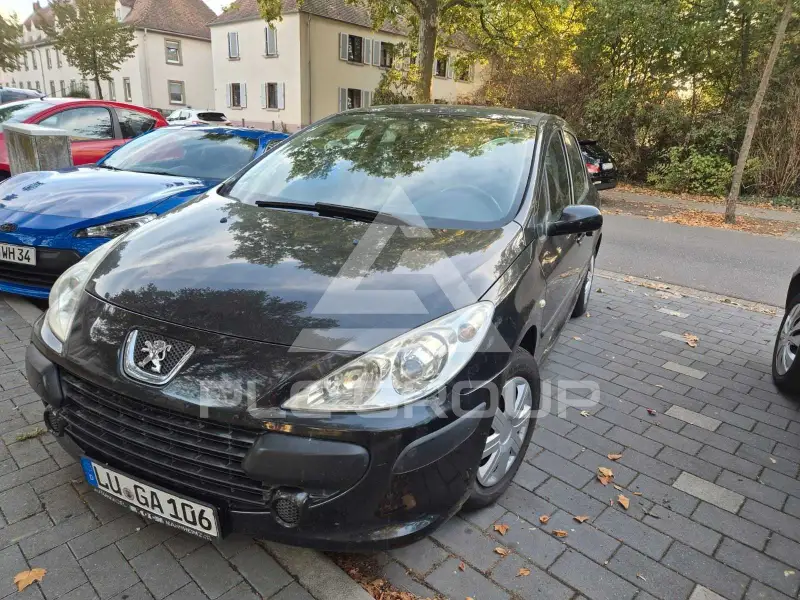 2006 Peugeot 307