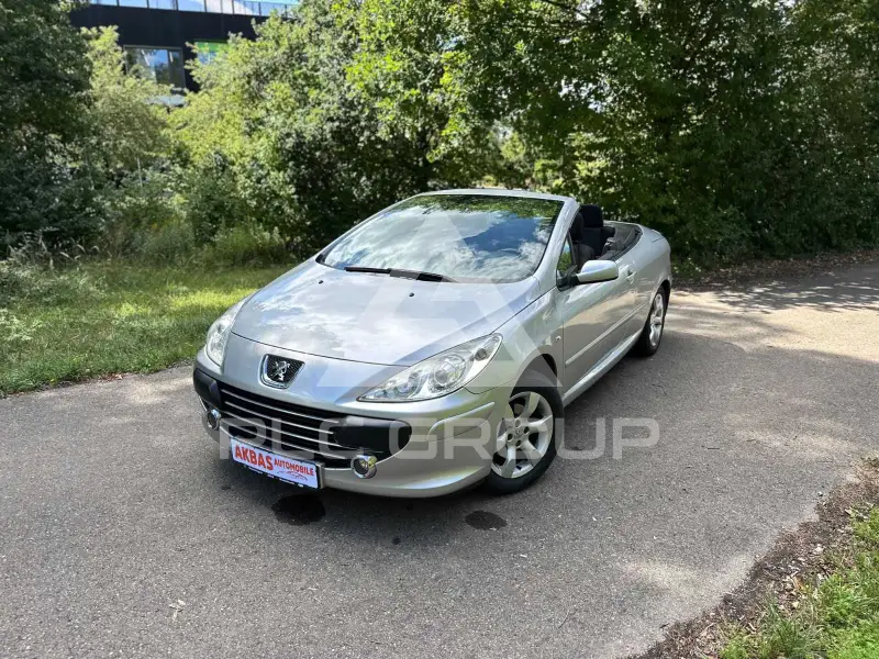 2006 Peugeot 307