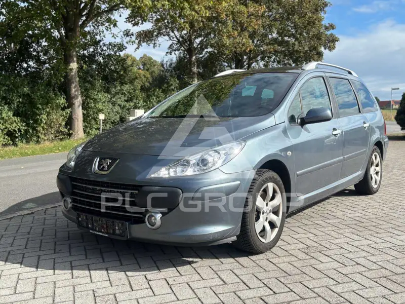 2006 Peugeot 307