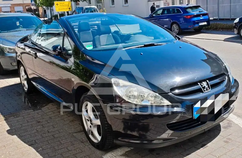 2006 Peugeot 307