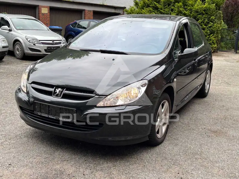 2006 Peugeot 307