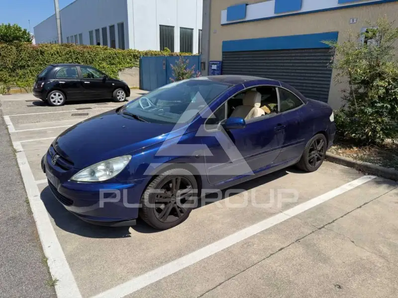 2006 Peugeot 307