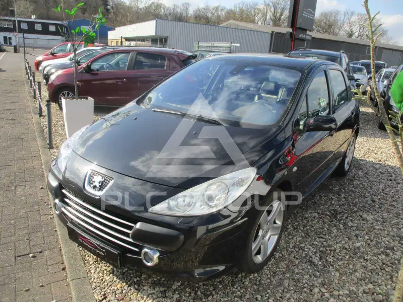 2006 Peugeot 307