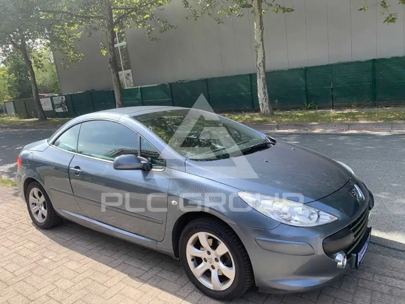 2006 Peugeot 307