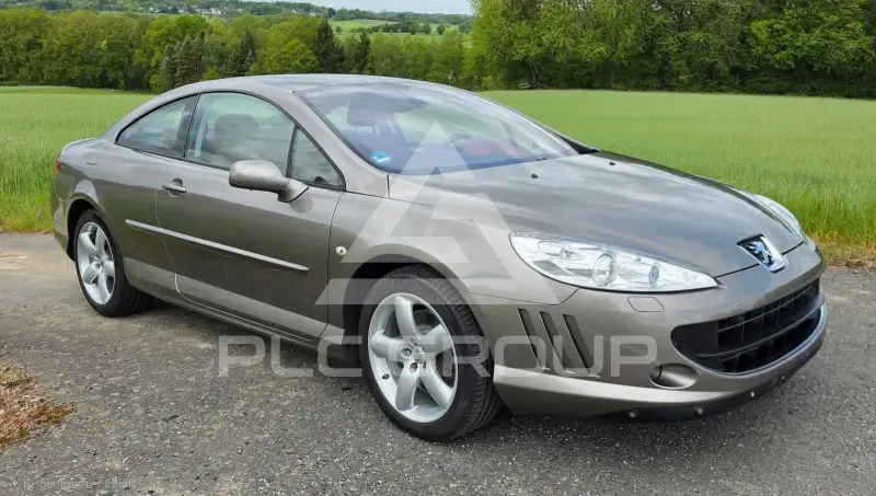 2006 Peugeot 407